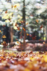 autumn-mott-rodeheaver-SPd9CSoWCkY-unsplash-(1).jpg