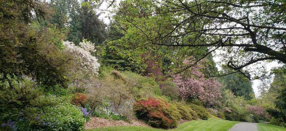 Glooiende tuinen: materialen, planten en handige tips